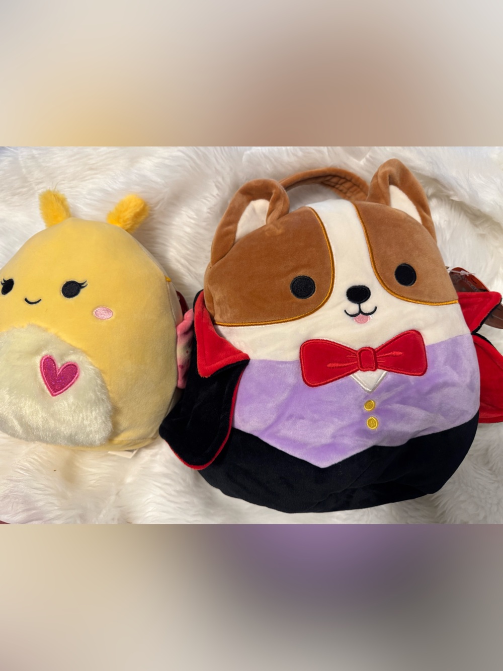 Squishmallows Reginald Vampire Corgi Treat Pail and Miry the butterfly plush